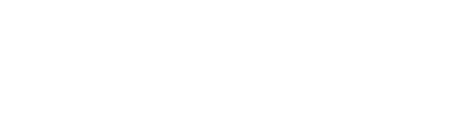 DSV